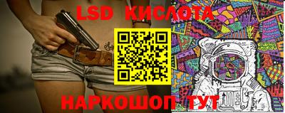 гидропоника Камышлов