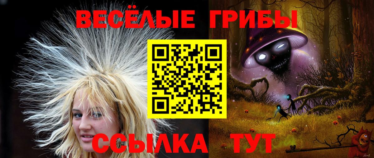 Людиново  Псилоцибиновые грибы мухоморы  Вход с VPN  Галлюциногенные грибы MAGIC MUSHROOMS 