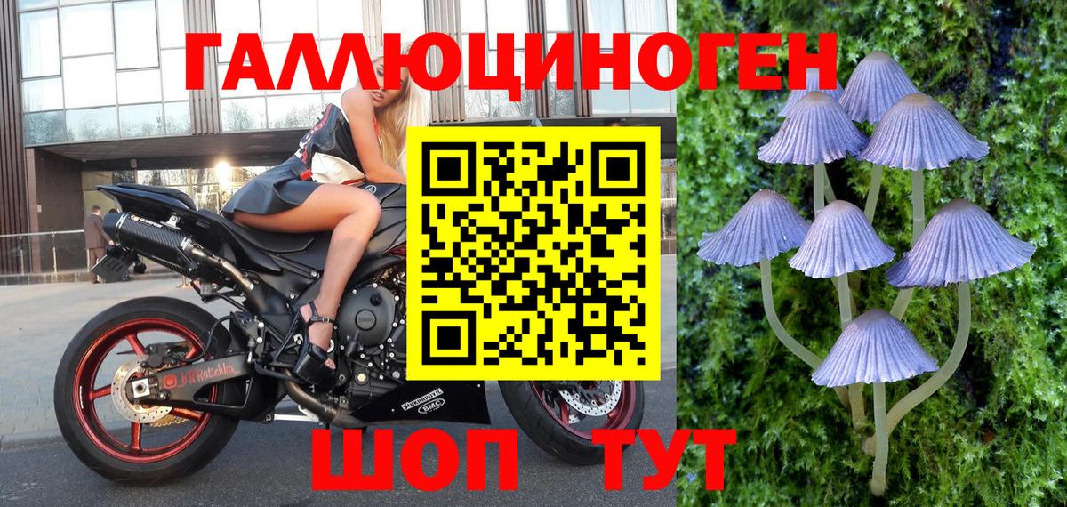 Галлюциногенные грибы Magic Shrooms Людиново
